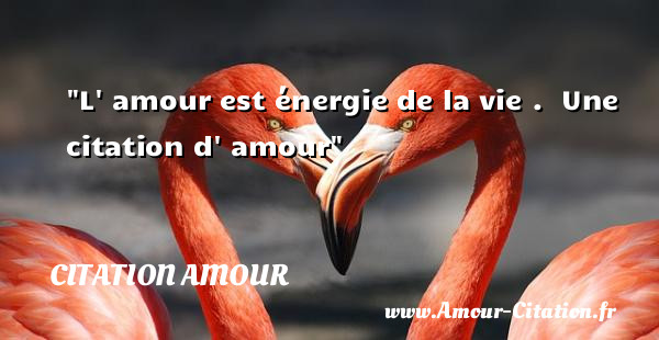 L  amour est énergie de la vie .   Une  citation  d  amour CITATION AMOUR