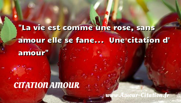 La vie est comme une rose, sans amour elle se fane...   Une  citation  d  amour CITATION AMOUR