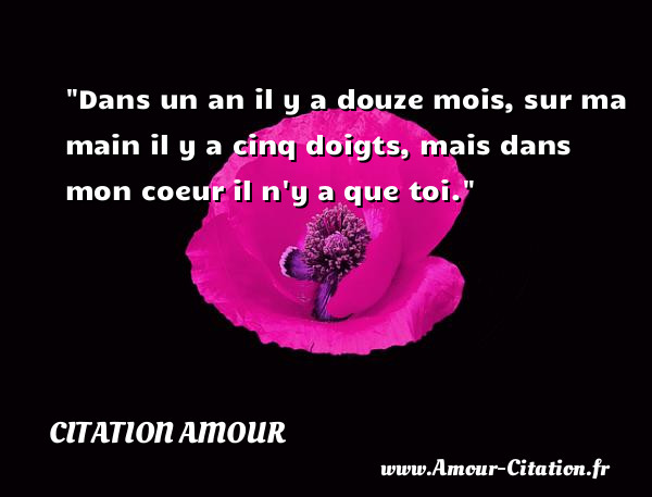 Dans un an il y a douze mois, sur ma main il y a cinq doigts, mais dans mon coeur il n y a que toi.   Une citation d amour CITATION AMOUR