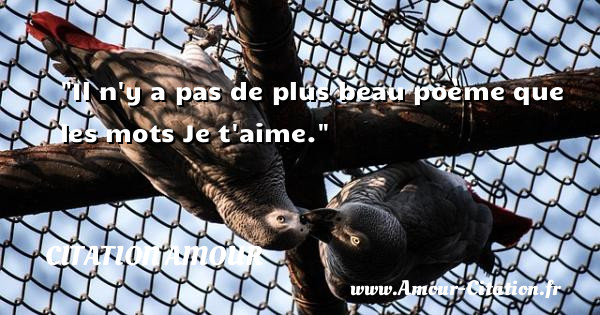 Il n y a pas de plus beau poème que les mots Je t aime.   Une citation sur déclarations d amour  CITATION AMOUR