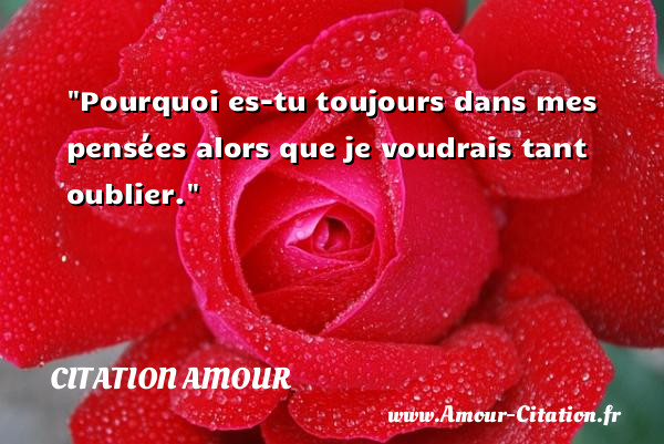 Pourquoi es-tu toujours dans mes pensées alors que je voudrais tant oublier.   Une citation d amour CITATION AMOUR
