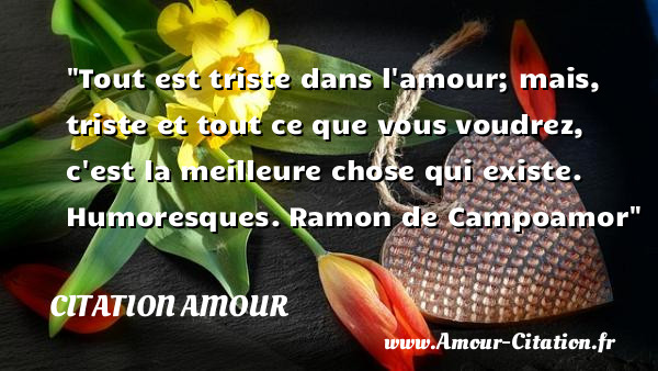 Tout est triste dans l amour; mais, triste et tout ce que vous voudrez, c est la meilleure chose qui existe.   Humoresques. Ramon de Campoamor   Une citation d amour CITATION AMOUR