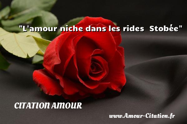 L amour niche dans les rides   Stobée   Une citation d amour CITATION AMOUR