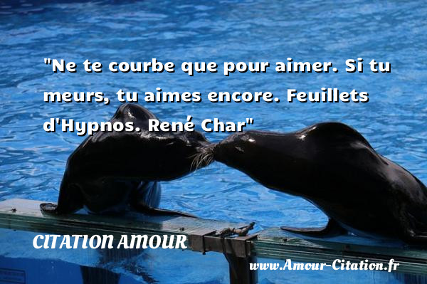 Ne te courbe que pour aimer. Si tu meurs, tu aimes encore.  Feuillets d Hypnos. René Char   Une citation d amour CITATION AMOUR