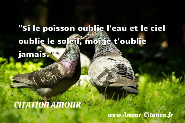 Si le poisson oublie l eau et le ciel oublie le soleil, moi je t oublie jamais.   Une citation d amour CITATION AMOUR