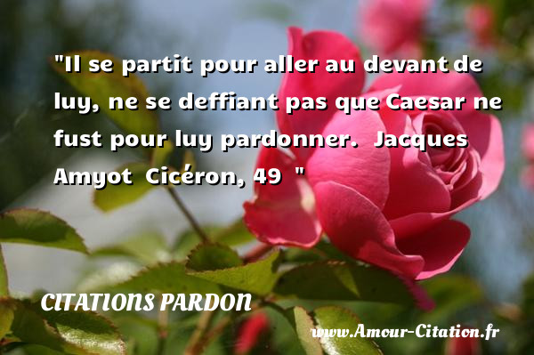 Il se partit pour aller au devant de luy, ne se deffiant pas que Caesar ne fust pour luy pardonner.   Jacques Amyot  Cicéron, 49  &nbsp;   Une citation sur le pardon CITATIONS PARDON