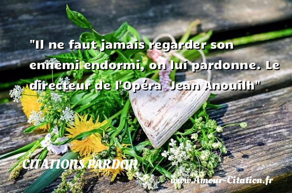 Il ne faut jamais regarder son ennemi endormi, on lui pardonne.  Le directeur de l Opéra   Jean Anouilh   Une citation sur le pardon CITATIONS PARDON