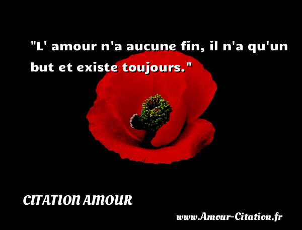 L  amour n a aucune fin, il n a qu un but et existe toujours.   Une citation d amour CITATION AMOUR