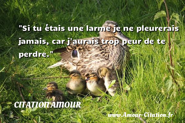 Si tu étais une larme je ne pleurerais jamais, car j aurais trop peur de te perdre.   Une citation d amour CITATION AMOUR