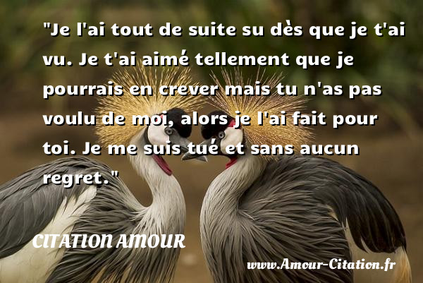 Je l ai tout de suite su dès que je t ai vu. Je t ai aimé tellement que je pourrais en crever mais tu n as pas voulu de moi, alors je l ai fait pour toi. Je me suis tué et sans aucun regret.   Une citation d amour CITATION AMOUR