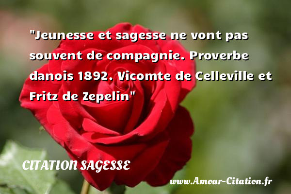 Jeunesse et sagesse ne vont pas souvent de compagnie.  Proverbe danois 1892. Vicomte de Celleville et Fritz de Zepelin  Une citation sur la sagesse CITATION SAGESSE