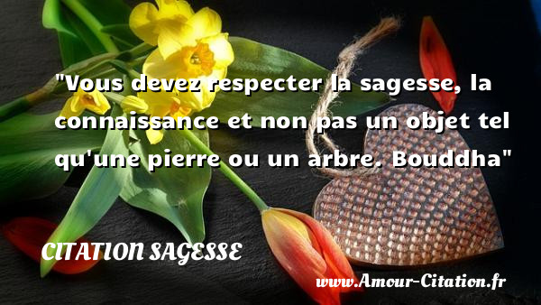 Vous devez respecter la sagesse, la connaissance et non pas un objet tel qu une pierre ou un arbre.  Bouddha  Une citation sur la sagesse CITATION SAGESSE