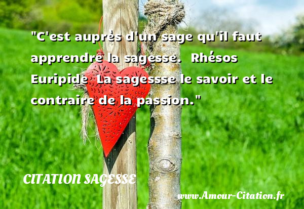 C est auprès d un sage qu il faut apprendre la sagesse.   Rhésos Euripide   La sagessse le savoir et le contraire de la passion.  Une citation sur la sagesse CITATION SAGESSE