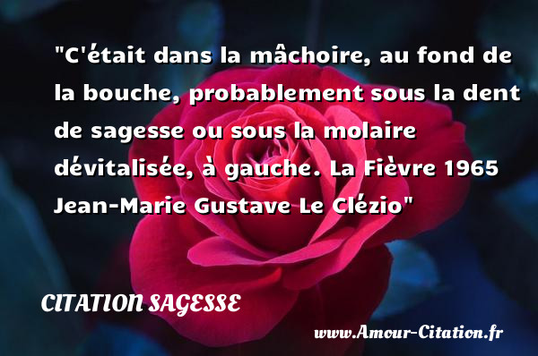 C était dans la mâchoire, au fond de la bouche, probablement sous la dent de sagesse ou sous la molaire dévitalisée, à gauche.  La Fièvre 1965   Jean-Marie Gustave Le Clézio   Une citation sur la sagesse CITATION SAGESSE