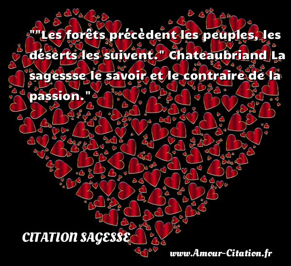  Les forêts précèdent les peuples, les déserts les suivent.   Chateaubriand  La sagessse le savoir et le contraire de la passion. Une citation sur la sagesse CITATION SAGESSE