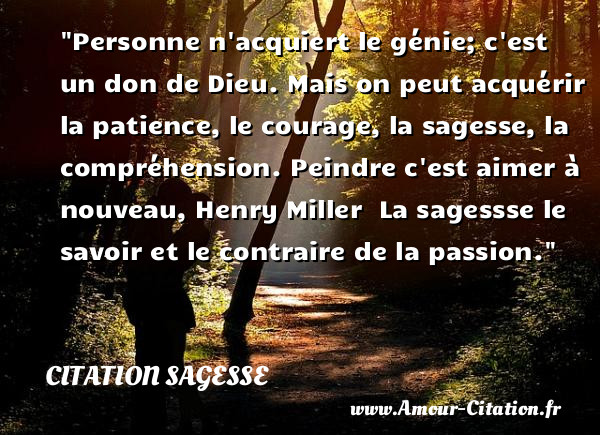 Personne n acquiert le génie; c est un don de Dieu. Mais on peut acquérir la patience, le courage, la sagesse, la compréhension.  Peindre c est aimer à nouveau, Henry Miller   La sagessse le savoir et le contraire de la passion.  Une citation sur la sagesse CITATION SAGESSE