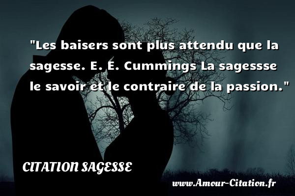 Les baisers sont plus attendu que la sagesse.  E. E. Cummings  La sagessse le savoir et le contraire de la passion.  Une citation sur la sagesse CITATION SAGESSE