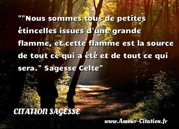  Nous sommes tous de petites étincelles issues d une grande flamme, et cette flamme est la source de tout ce qui a été et de tout ce qui sera.   Sagesse Celte  Une citation sur la sagesse CITATION SAGESSE