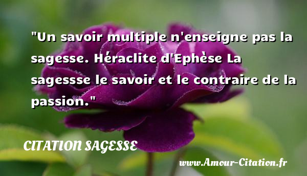 Un savoir multiple n enseigne pas la sagesse. Héraclite d Ephèse  La sagessse le savoir et le contraire de la passion.  Une citation sur la sagesse CITATION SAGESSE