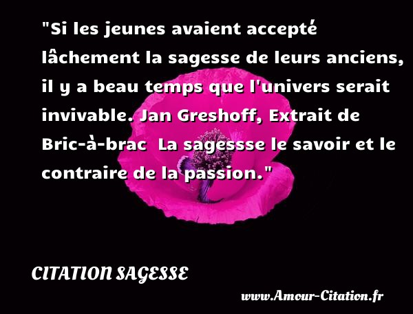 Si les jeunes avaient accepté lâchement la sagesse de leurs anciens, il y a beau temps que l univers serait invivable.  Jan Greshoff, Extrait de Bric-à-brac   La sagessse le savoir et le contraire de la passion.  Une citation sur la sagesse CITATION SAGESSE