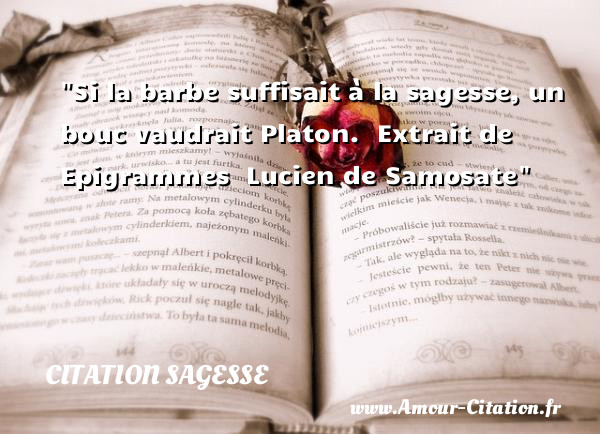 Si la barbe suffisait à la sagesse, un bouc vaudrait Platon.   Extrait de Epigrammes   Lucien de Samosate   Une citation sur la sagesse CITATION SAGESSE