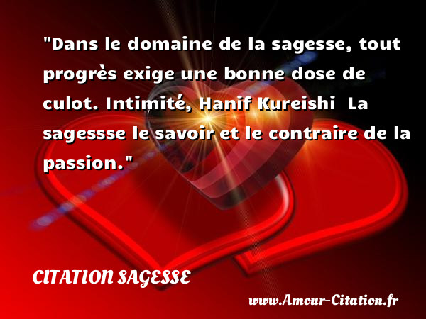 Dans le domaine de la sagesse, tout progrès exige une bonne dose de culot.  Intimité, Hanif Kureishi   La sagessse le savoir et le contraire de la passion.  Une citation sur la sagesse CITATION SAGESSE