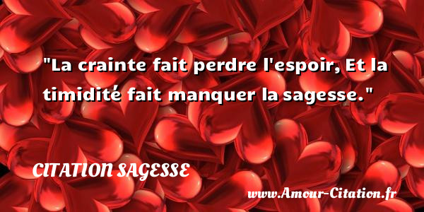 La crainte fait perdre l espoir, Et la timidité fait manquer la sagesse.   Une citation sur la sagesse CITATION SAGESSE