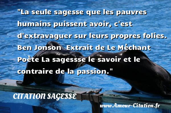 La seule sagesse que les pauvres humains puissent avoir, c est d extravaguer sur leurs propres folies.  Ben Jonson   Extrait de Le Méchant Poète  La sagessse le savoir et le contraire de la passion.  Une citation sur la sagesse CITATION SAGESSE