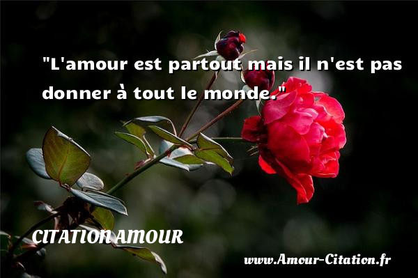 L amour est partout mais il n est pas donner à tout le monde.   Une citation d amour CITATION AMOUR