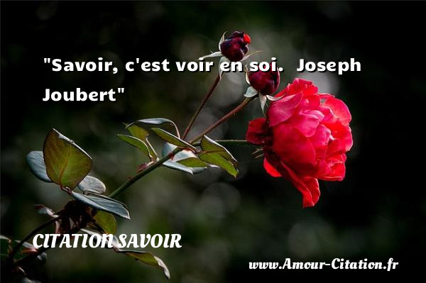 Savoir, c est voir en soi.   Joseph Joubert   Une citation sur le savoir CITATION SAVOIR