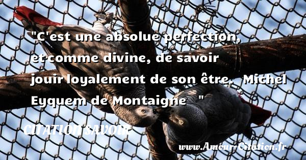 C est une absolue perfection, et comme divine, de savoir jouir loyalement de son être.   Michel Eyquem de Montaigne   &nbsp;   Une citation sur le savoir CITATION SAVOIR