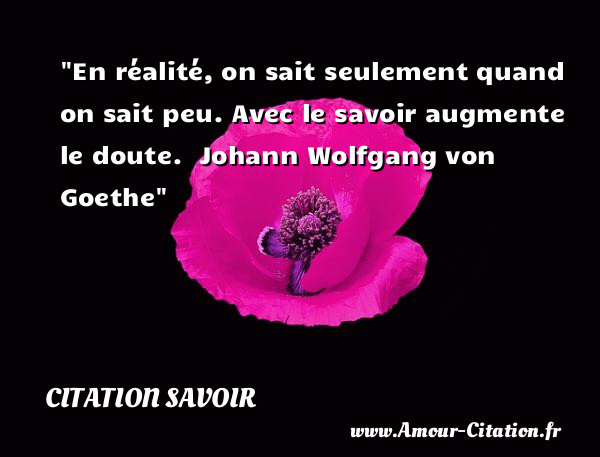 En réalité, on sait seulement quand on sait peu. Avec le savoir augmente le doute.   Johann Wolfgang von Goethe   Une citation sur le savoir CITATION SAVOIR