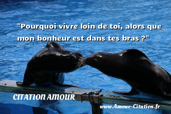 Pourquoi vivre loin de toi, alors que mon bonheur est dans tes bras ?   Une citation d amour CITATION AMOUR