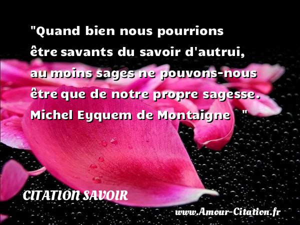 Quand bien nous pourrions être savants du savoir d autrui, au moins sages ne pouvons-nous être que de notre propre sagesse.   Michel Eyquem de Montaigne   &nbsp;   Une citation sur le savoir CITATION SAVOIR
