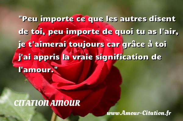 Peu importe ce que les autres disent de toi, peu importe de quoi tu as l air, je t aimerai toujours car grâce à toi j ai appris la vraie signification de l amour.   Une citation d amour CITATION AMOUR