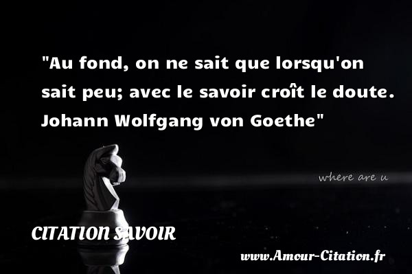 Au fond, on ne sait que lorsqu on sait peu; avec le savoir croît le doute.   Johann Wolfgang von Goethe   Une citation sur le savoir CITATION SAVOIR