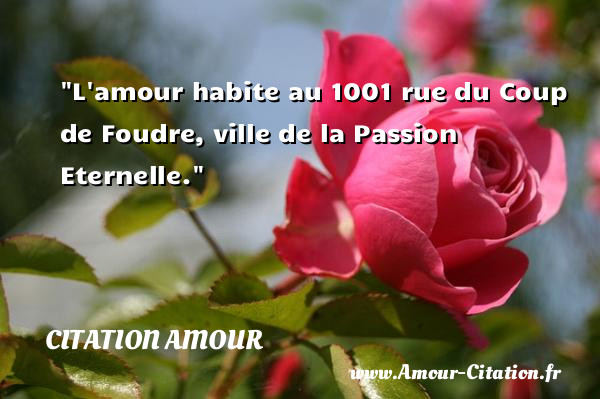 L amour habite au 1001 rue du Coup de Foudre, ville de la Passion Eternelle.   Une citation d amour CITATION AMOUR