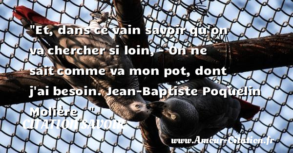 Et, dans ce vain savoir qu on va chercher si loin, - On ne sait comme va mon pot, dont j ai besoin.  Jean-Baptiste Poquelin  Molière   &nbsp;   Une citation sur le savoir CITATION SAVOIR