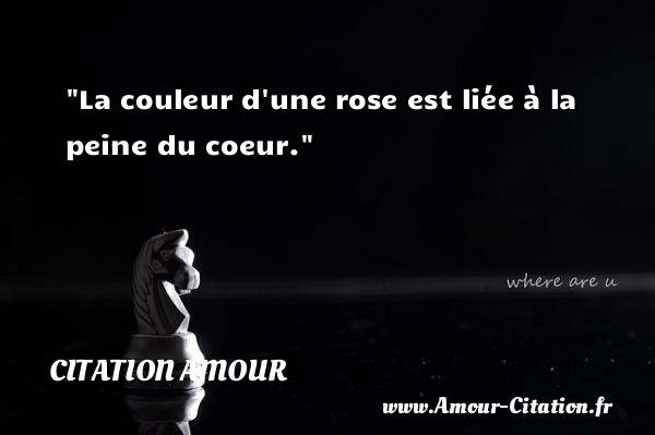 La couleur d une rose est liée à la peine du coeur.   Une citation d amour CITATION AMOUR