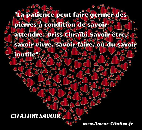 La patience peut faire germer des pierres à condition de savoir attendre. Driss Chraïbi  Savoir être, savoir vivre, savoir faire, ou du savoir inutile  Une citation sur le savoir CITATION SAVOIR