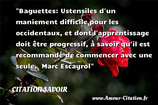Baguettes: Ustensiles d un maniement difficile pour les occidentaux, et dont l apprentissage doit être progressif, à savoir qu il est recommandé de commencer avec une seule.   Marc Escayrol   Une citation sur le savoir CITATION SAVOIR