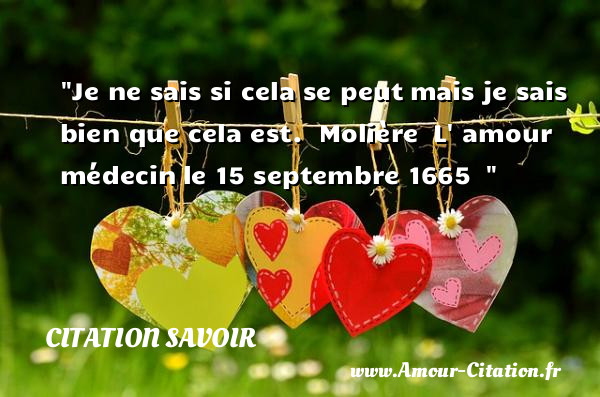 Je ne sais si cela se peut mais je sais bien que cela est.   Molière  L  amour médecin le 15 septembre 1665  &nbsp;   Une citation sur le savoir CITATION SAVOIR