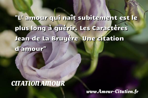 L  amour qui naît subitement est le plus long à guérir.  Les Caractères   Jean de La Bruyère   Une  citation  d amour CITATION AMOUR