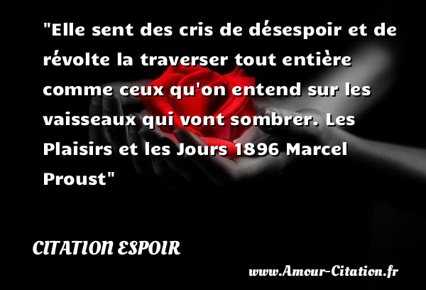 Elle sent des cris de désespoir et de révolte la traverser tout entière comme ceux qu on entend sur les vaisseaux qui vont sombrer.  Les Plaisirs et les Jours 1896 Marcel Proust   Une citation sur l espoir CITATION ESPOIR