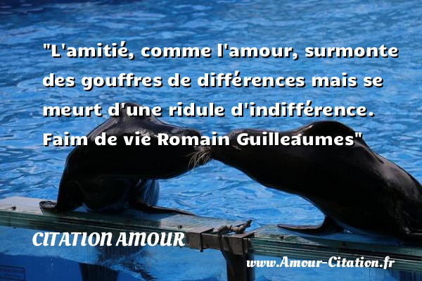 L amitié, comme l amour, surmonte des gouffres de différences mais se meurt d une ridule d indifférence.  Faim de vie Romain Guilleaumes     Une citation d amour CITATION AMOUR