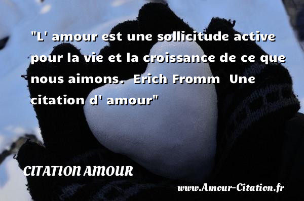 L  amour est une sollicitude active pour la vie et la croissance de ce que nous aimons.   Erich Fromm   Une  citation  d  amour CITATION AMOUR