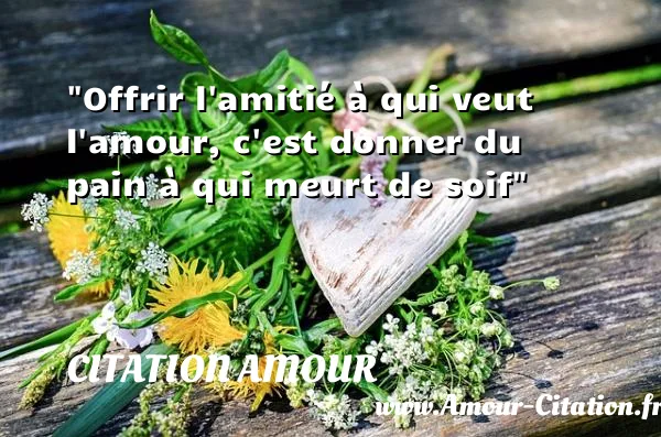 Offrir l amitié à qui veut l amour, c est donner du pain à qui meurt de soif CITATION AMOUR