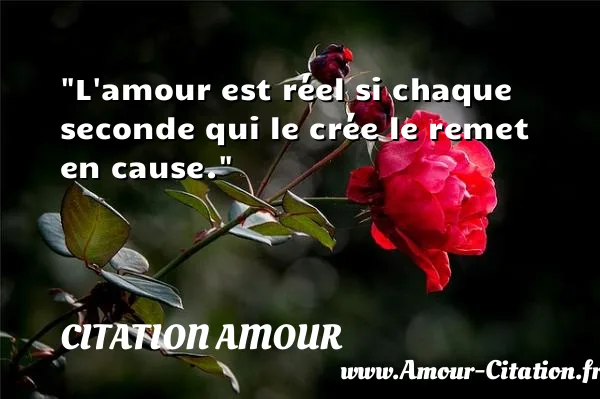 L amour est réel si chaque seconde qui le crée le remet en cause.  CITATION AMOUR