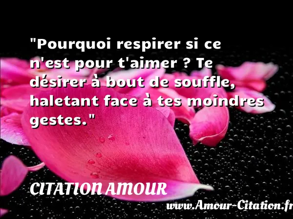 Pourquoi respirer si ce n est pour t aimer ? Te désirer à bout de souffle, haletant face à tes moindres gestes.  CITATION AMOUR