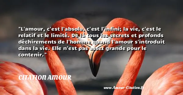 L amour, c est l absolu, c est l infini; la vie, c est le relatif et le limité. De là tous les secrets et profonds déchirements de l homme quand l amour s introduit dans la vie. Elle n est pas assez grande pour le contenir. CITATION AMOUR